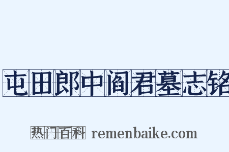 屯田郎中阎君墓志铭是什么意思的图片
